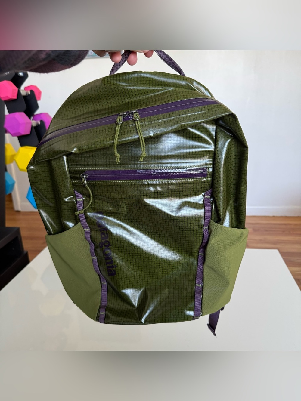 Patagonia Black Hole Pack 26L Backpack Bag Lightweight 49050 SPTG Green Purple